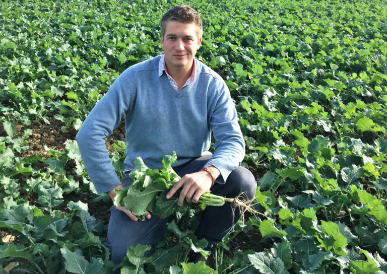 » Sugar beet farmers on alert as cold weather slows both growth and ...