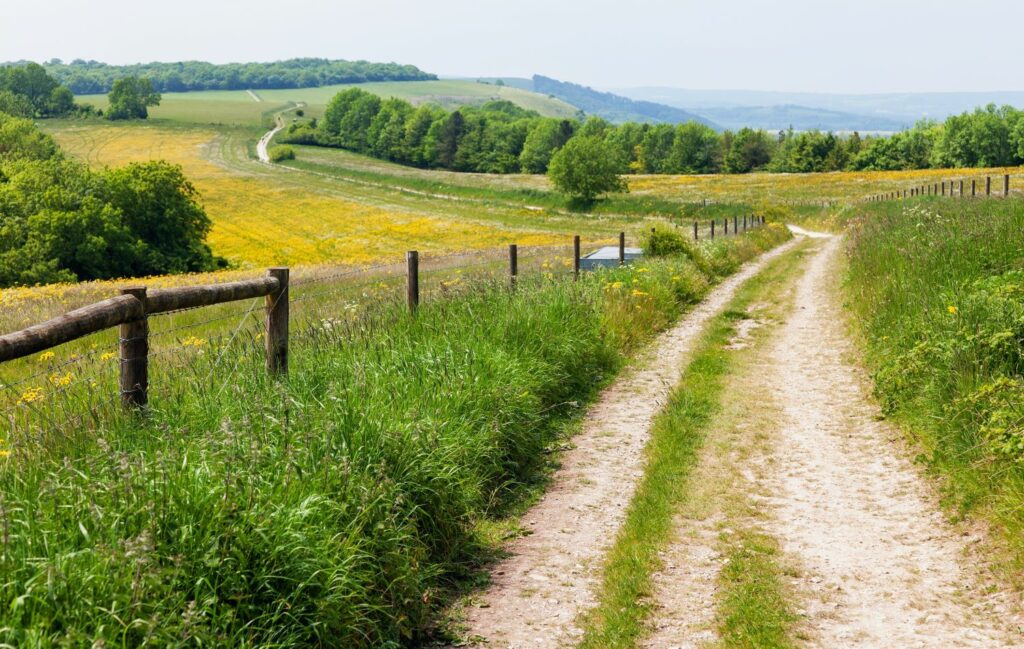 It is important for people to understand how to behave appropriately in the countryside.