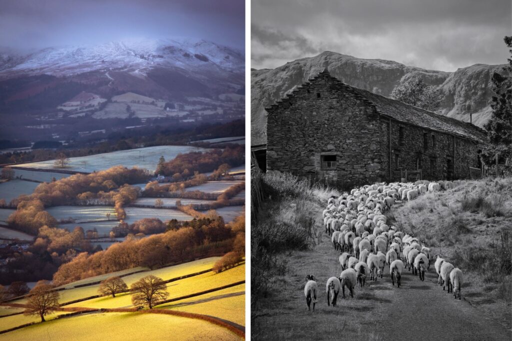 Two photographs side by side: on the left a view of farmland in the Brecon Beacons. On the right a flock of sheep being herded in the Lake District.