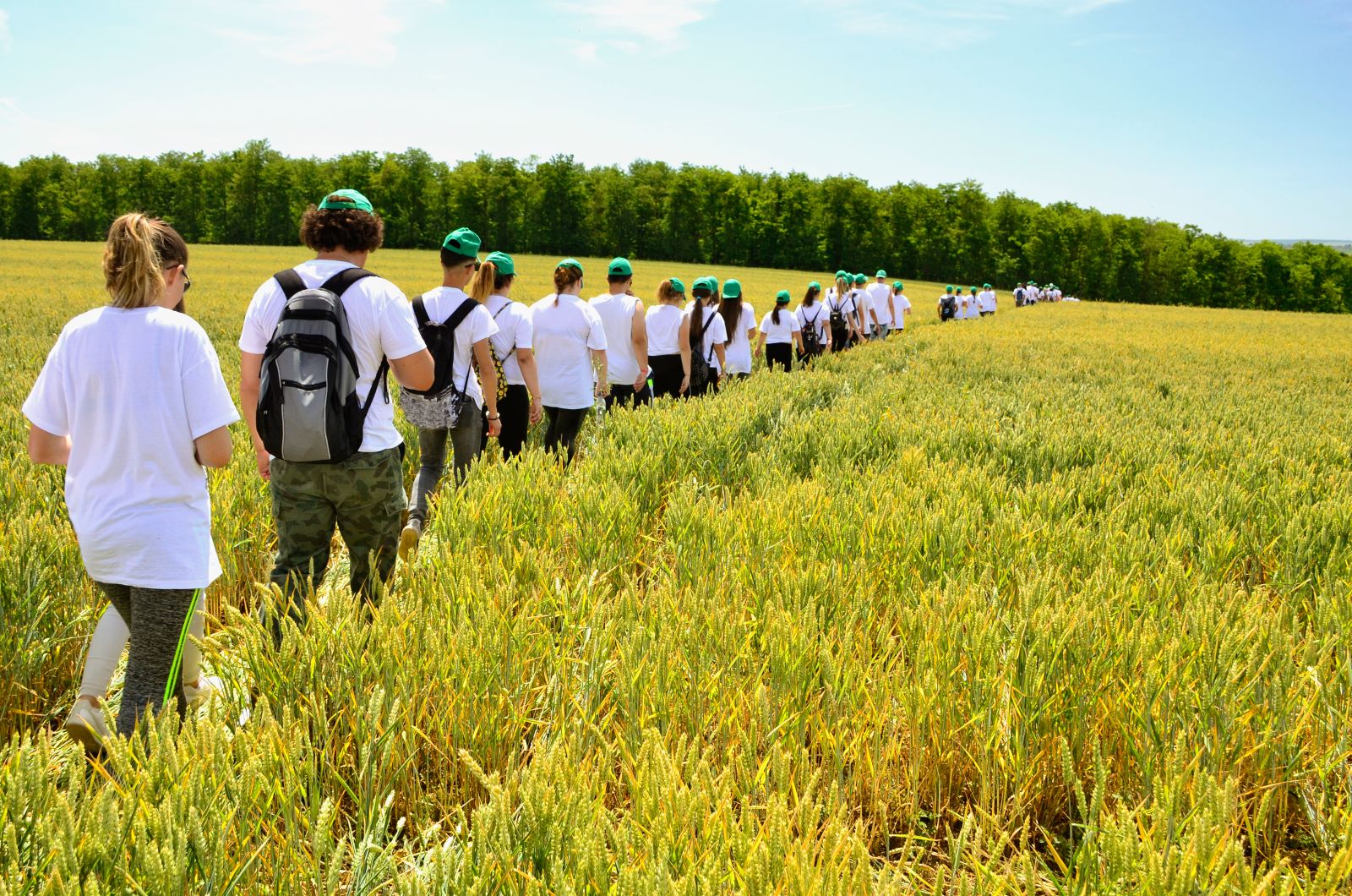 Hundreds of schools set to take part in Farming Fortnight education ...