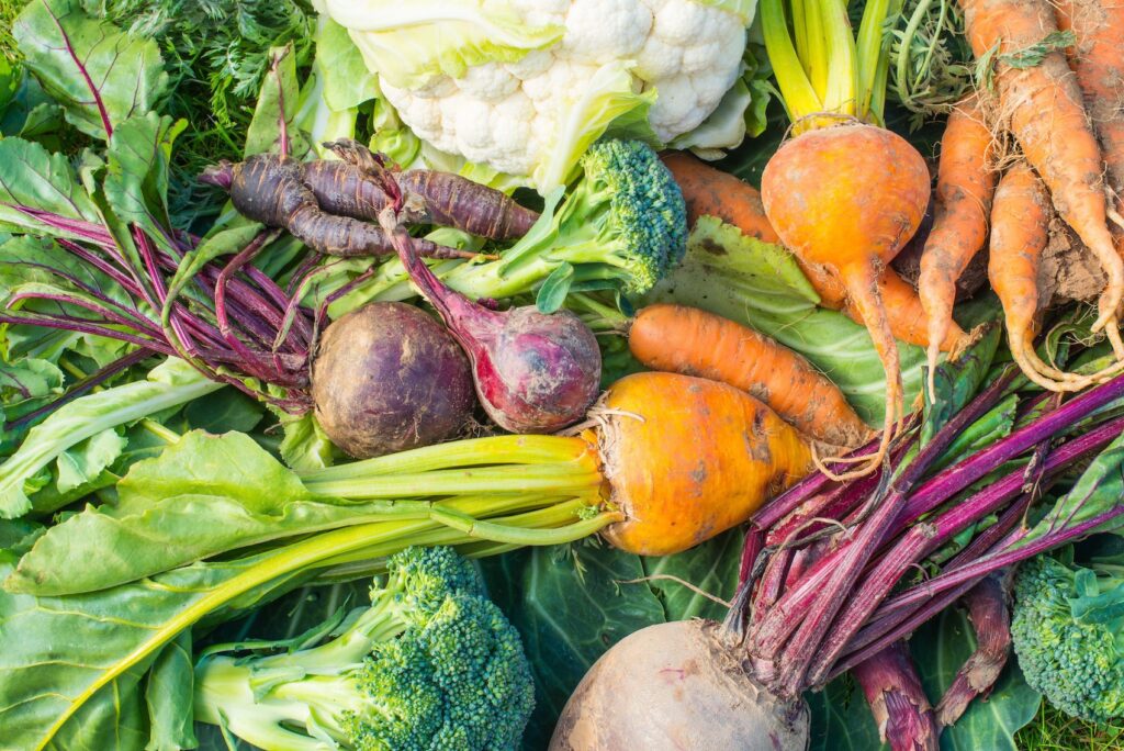 Selection of fresh vegetables - carrots, cauliflower, purple carrots, red onions, broccoli, beetroot and yellow beetroot.