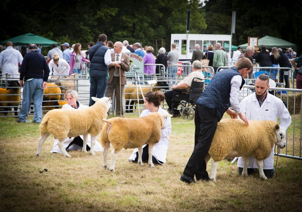 Vale of Glamorgan Agricultural Show