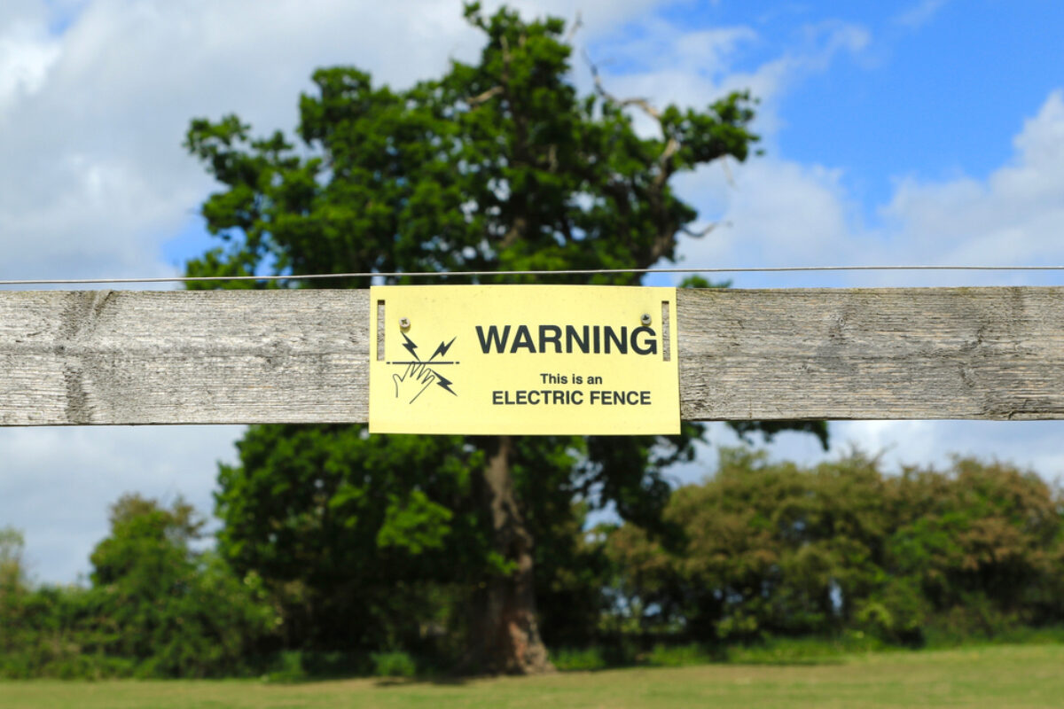 Rural king invisible clearance fence