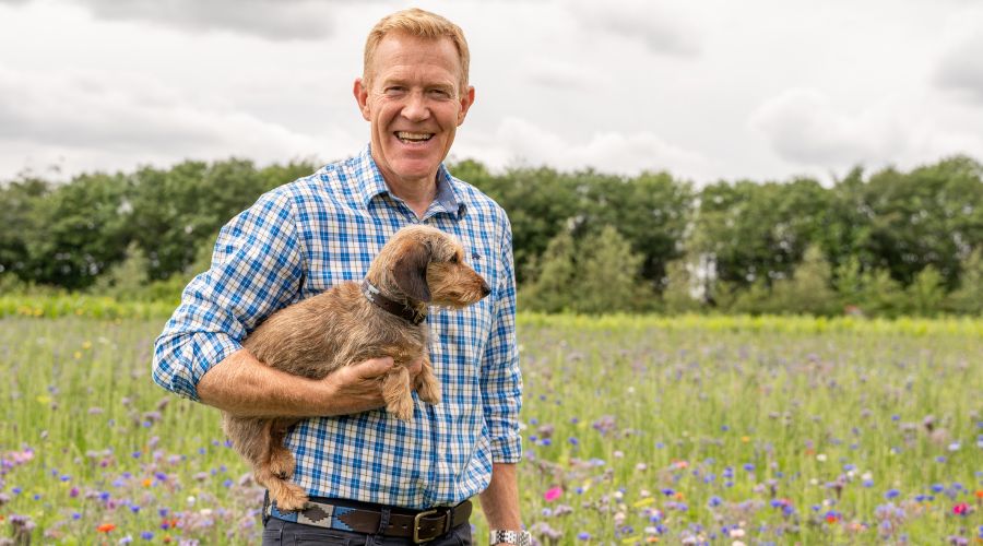 Adam Henson just announced the launch of his new online store, Wildscape, with its first product, a range of British wildflower seeds.