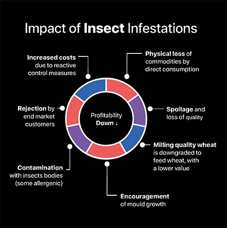 impact of insect infestations