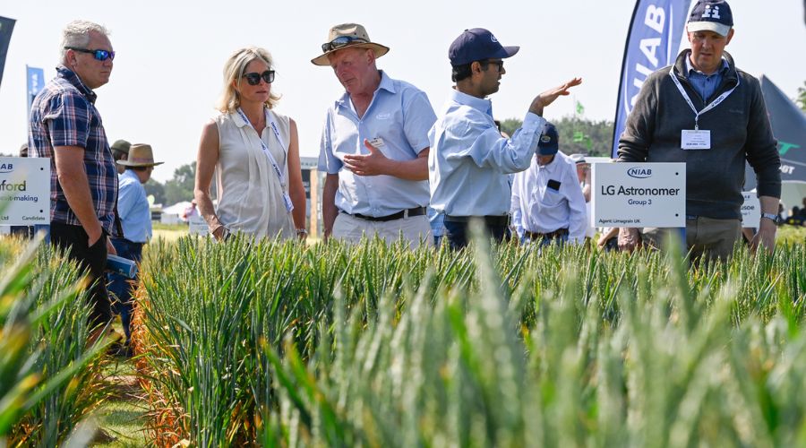 Over 600 individual crop plots from 25 exhibitors will give Cereals visitors access to the very latest in crop breeding, protection, nutrition, and science.