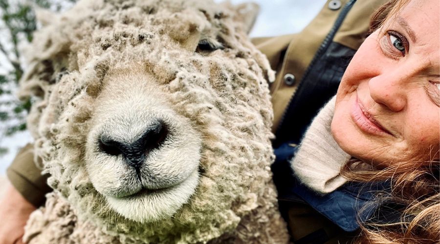 Heidi bell with babydoll sheep