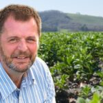 Increasing high disease pressure could restrict green leaf area development and yield potential, warns a Syngenta expert Simon Jackson.