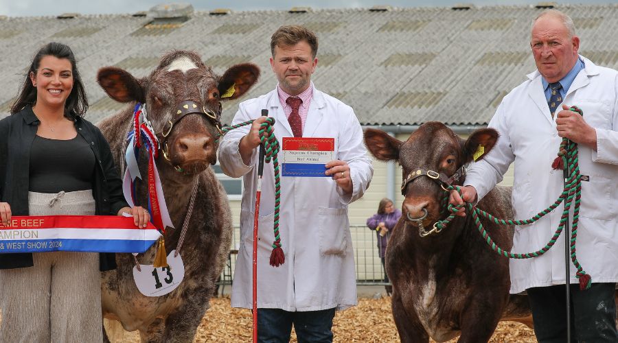 A great calibre of livestock was in attendance at this year’s Royal Bath & West Show, and no stone was left unturned by judges in the ring.