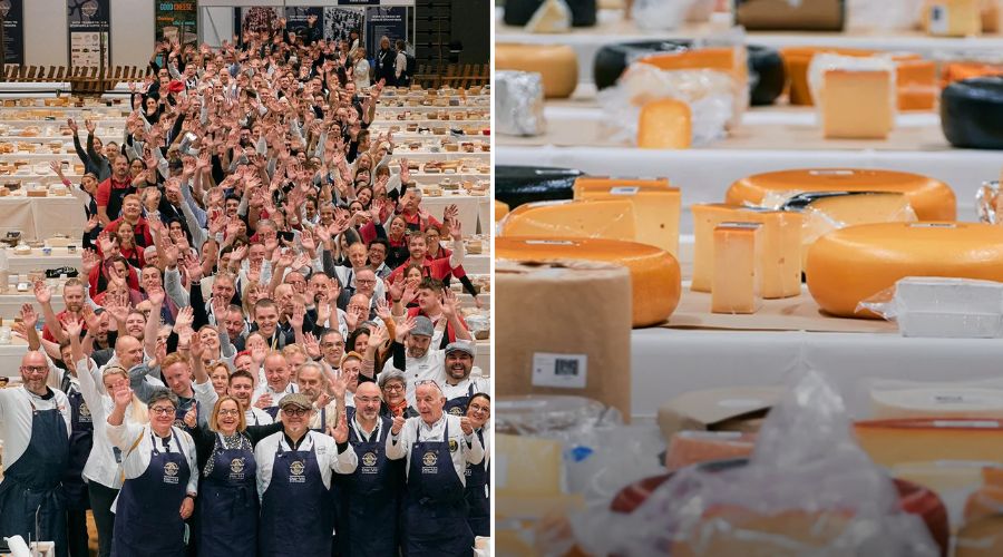 The World Cheese Awards, recognised internationally and the largest ‘cheese-only’ event of its kind, are back for the 36th year. 