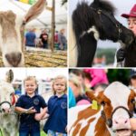 The 202nd edition of the Royal Highland Show marked a record-breaking year, with more than 220,000 people attending the event over four days.