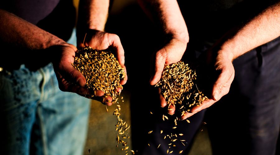 Chivas Brothers announced a new agriculture programme supporting sustainable farming practices, collaborating with Bairds Malt and Scotgrain. 
