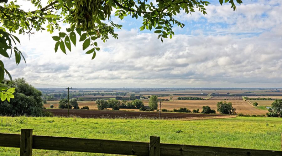 NFU and NFFN have responded to the report from the National Audit Office (NAO) on the Farming and Countryside Programme. 