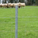 Agricultural and fencing supplier StowAg has just announced the launch of its brand-new range of metal fencing systems, Fetra.
