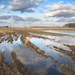 The number of flood warnings on England’s best farmland last winter hit a record high, exceeding the previous record by 20%. 