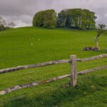 Welsh farmer, Hugh Tudor, who farmed at Tynberllan, Llanilar, tragically died in a quadbike accident, Dyfed-Powys Police confirmed.