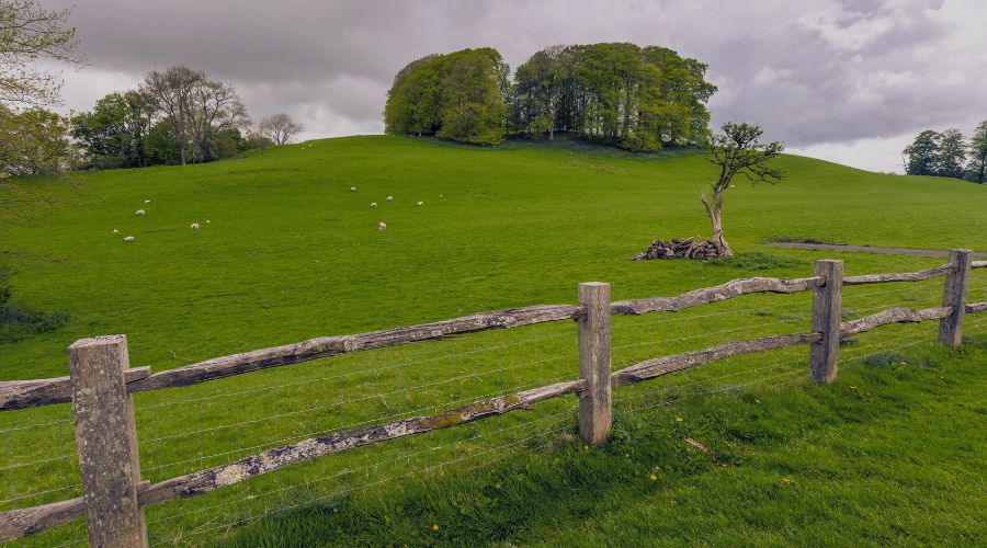 Welsh farmer, Hugh Tudor, who farmed at Tynberllan, Llanilar, tragically died in a quadbike accident, Dyfed-Powys Police confirmed.