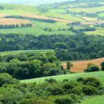 Dorset Council is considering buying a local dairy farm, Middle Farm at Higher Kingcombe, as part of its nature recovery efforts. 