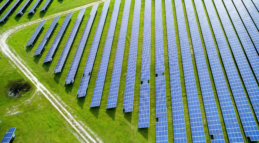 Controversial plans for a huge solar farm to be built on the Cambridgeshire-Suffolk border have just been approved by MP Ed Miliband.