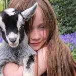 Three baby pygmy goats, Jasmine, Primrose, and Poppy, have been stolen from Honeycomb Farm in Hailsham, in East Sussex. 