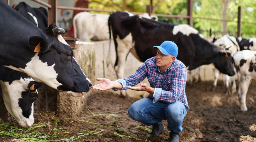 The cost of rural crime in the UK has exceeded the estimated £50 million in 2023, according to new figures from NFU Mutual.