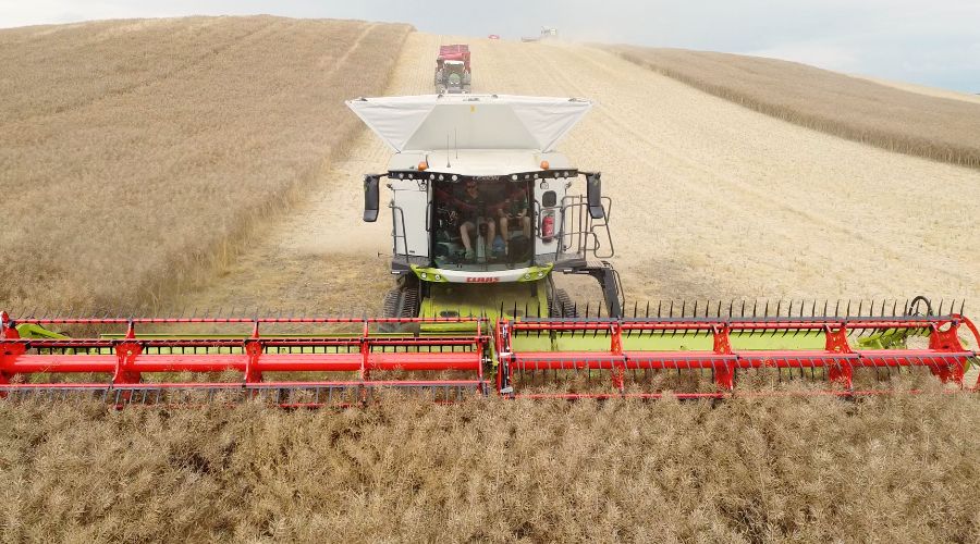 James Peck of P.X. Farms, Cambridgeshire, is one of the first UK farmers to start harvesting oilseed rape.