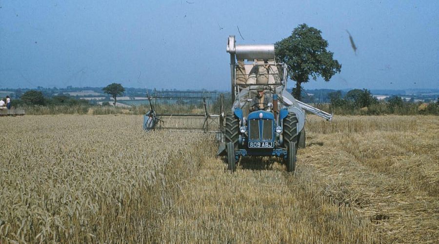 Stella van der Gucht from Suffolk shared photographs from harvests in the 1950s, 1960s and early 1970s taken by Derry Caston (1918-1993). 