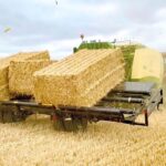 Bales being transported on farm in guide to baling safety article