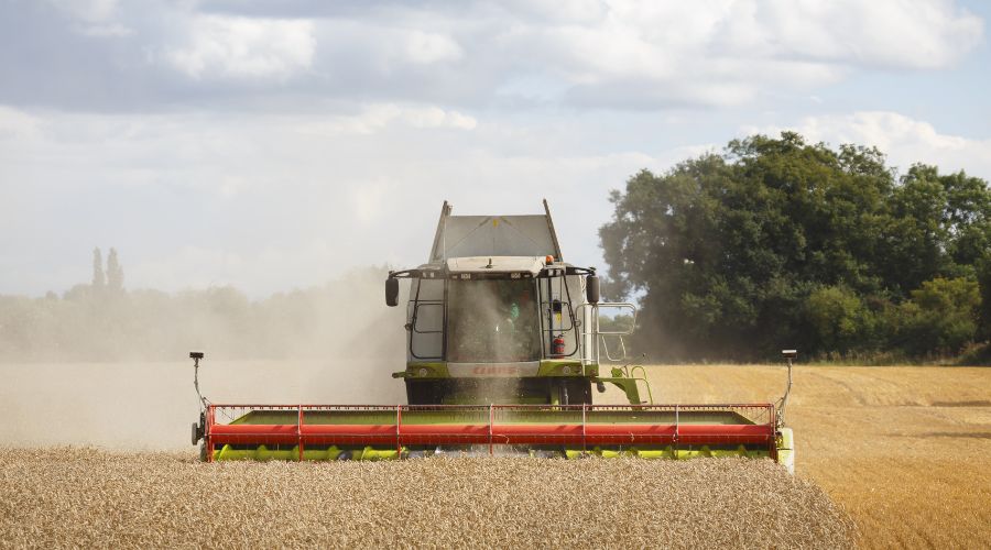 combine harvester at work in a field