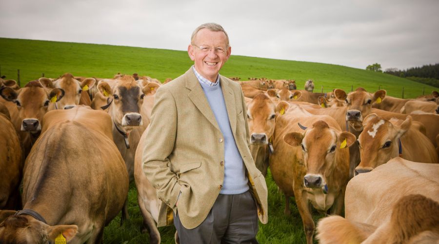 Dr Robert Graham, of Graham's Family Dairy, standing in front of Jersey cows