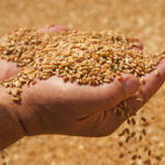 grain handling