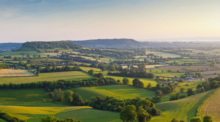 UK Agricultural Finance underlined that recovery and restructuring finance play a “critical role” in offering a lifeline to farm businesses.