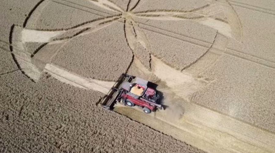 Police are appealing for information in regards to £2,000 of damage that was done to crops near Shapwick in East Dorset. 