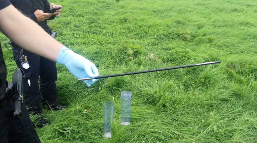 A sheep from Dachie Livestock in Wales was killed with “either a crossbow/bow and arrow or similar weapon”. 