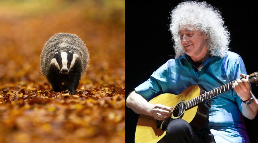 Farming communities called for balanced and evidence-based discussion following backlash on documentary on bovine TB presented by Sir Brian May. 