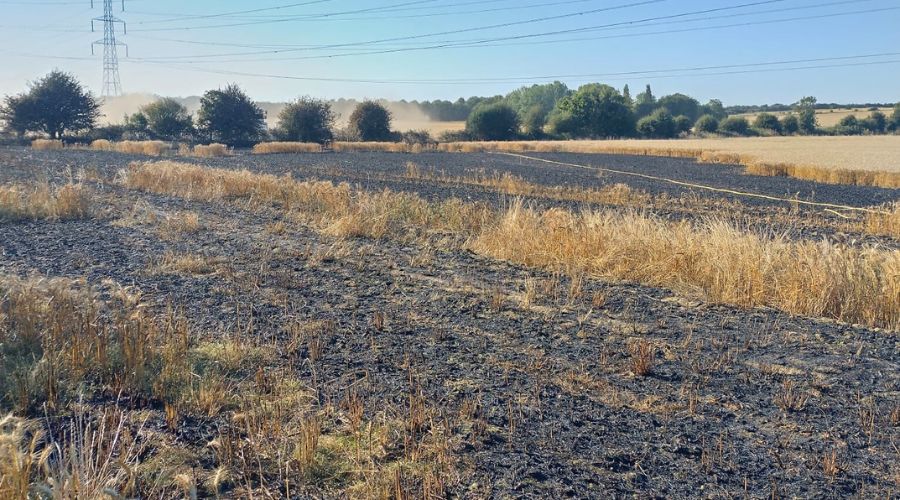 Essex County Fire and Rescue Service were called to a field fire near Godman Road in Chadwell St Mary at 4:35pm on Sunday, 11th August.