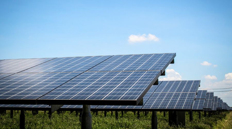 Plans for Walkford Moor Solar Farm to be built on land near Walkford Farm in the New Forest have been approved.