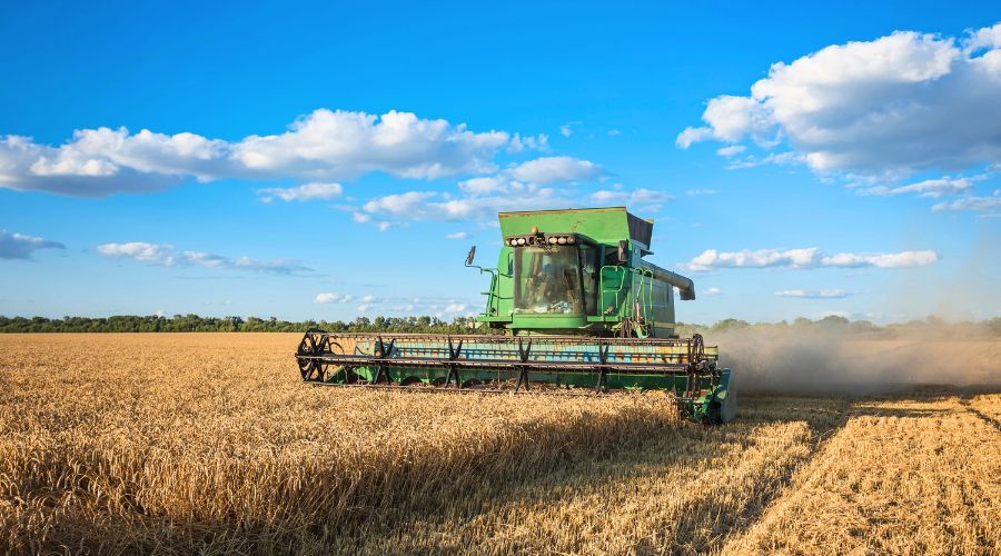 Warm and dry weather has supported harvest progress over the past fortnight, the latest AHDB harvest progress report for 2024 confirms. 