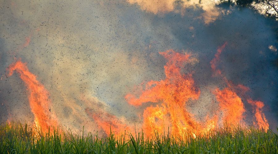 Hereford & Worcester Fire and Rescue Service was called on 6th August, to a significant fire at a farm in Lower Lulham, Madley. 