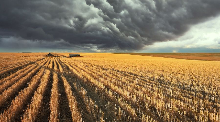 NFU Mutual urges farmers to prepare their farms as Storm Lillian is expected to bring dangerous winds to parts of the United Kingdom. 