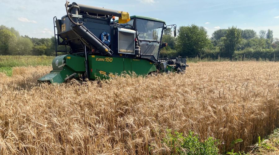 A project that brings trials of precision-bred cereal crops onto commercial farms in Europe is now underway. 