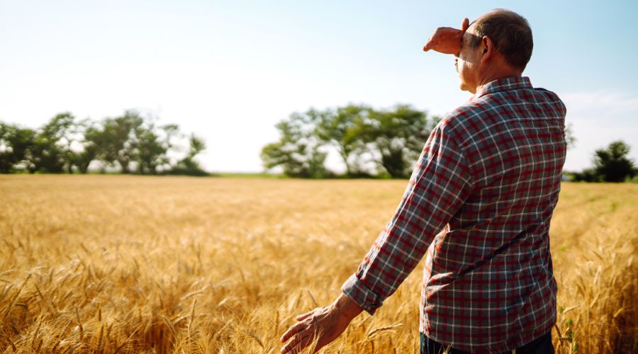 The government has announced its commitment to introduce a new deal for farmers, providING stability for the farming sector. 