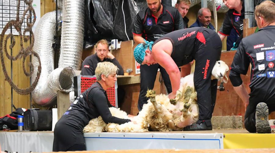 A Scottish woman, Una Cameron, has broken a sheep shearing world record after shearing 517 sheep in nine hours.