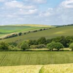 The supply of publicly marketed farmland in Great Britain has increased by 36% year-on-year, representing 118,232 acres, according to Savills.  
