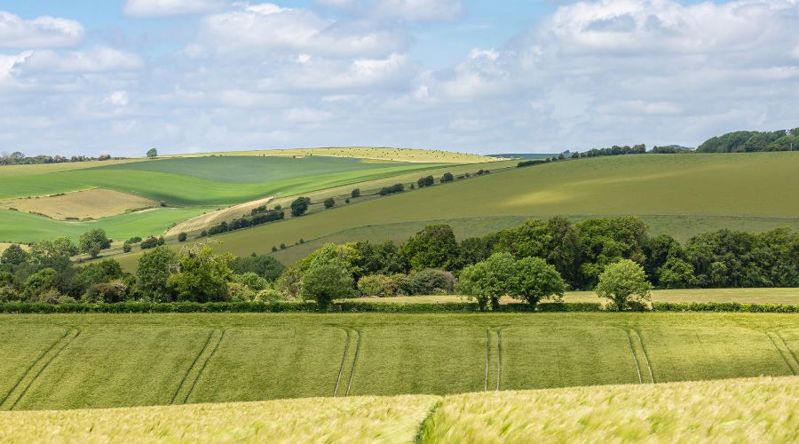 The supply of publicly marketed farmland in Great Britain has increased by 36% year-on-year, representing 118,232 acres, according to Savills.  