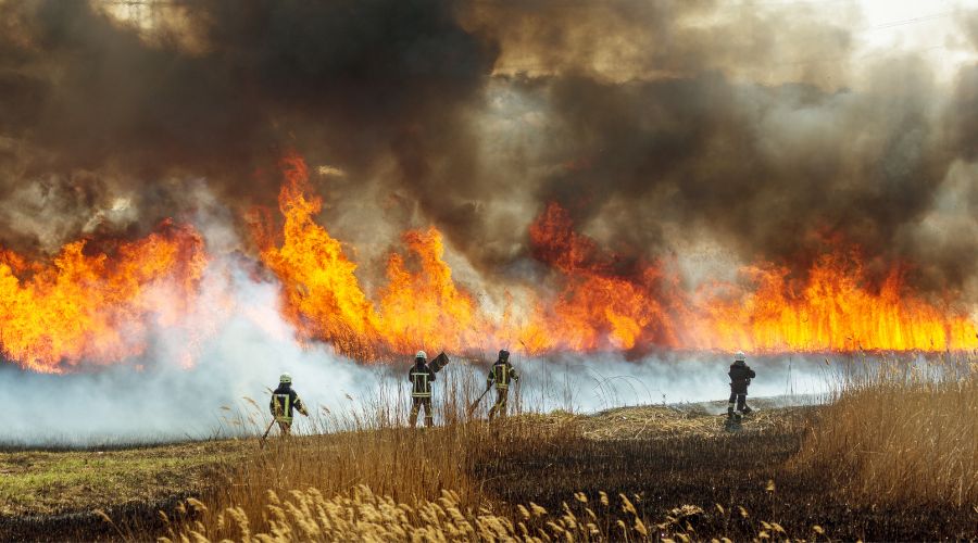 fire in field, with four firefighters silhouetted trying to extinguish it