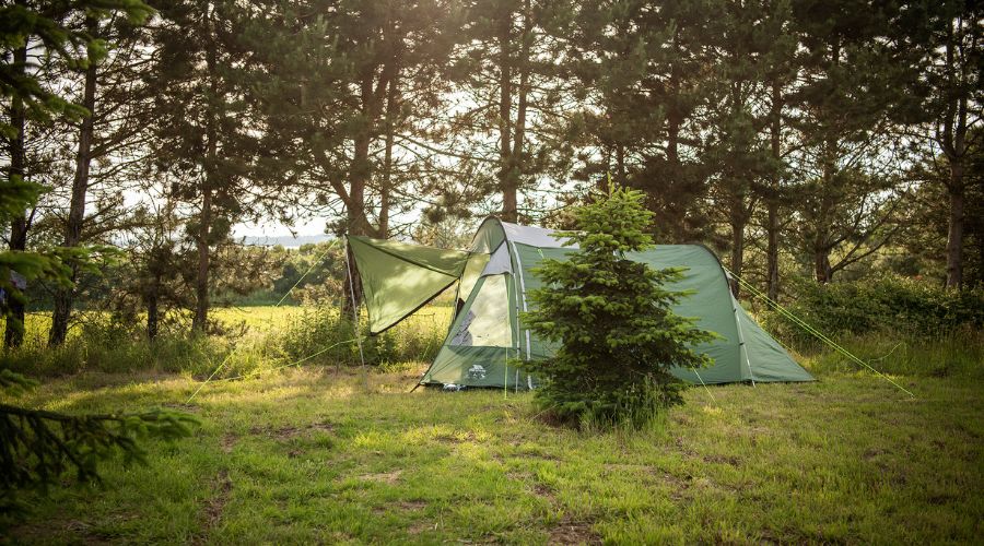 green tent pitched in woodland, surrounded by trees