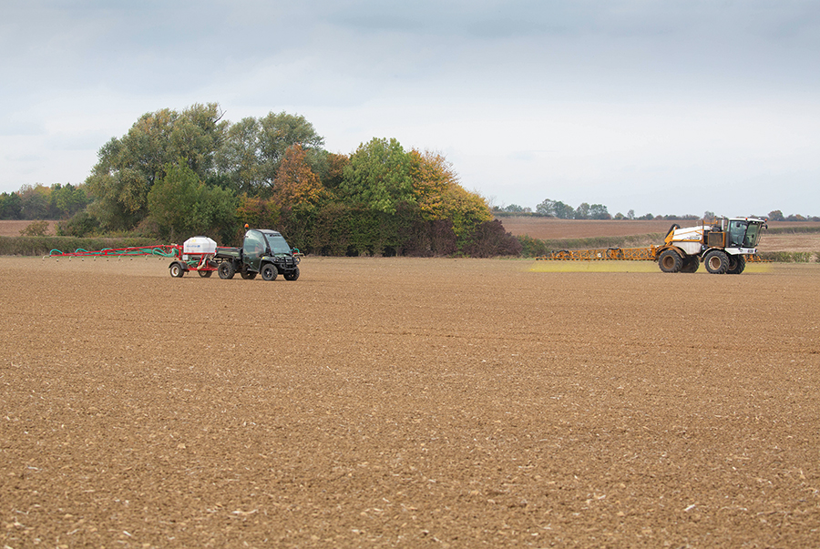 cultivation on arable field