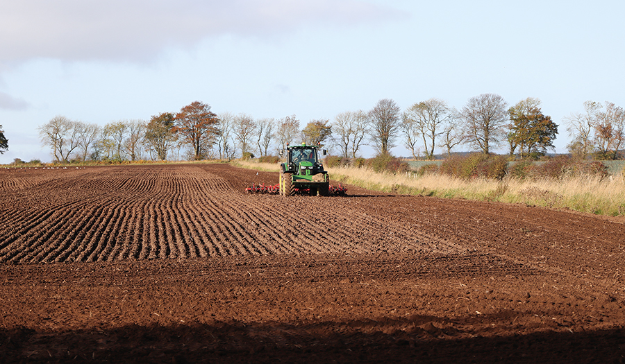 winter wheat drilling in Scotland