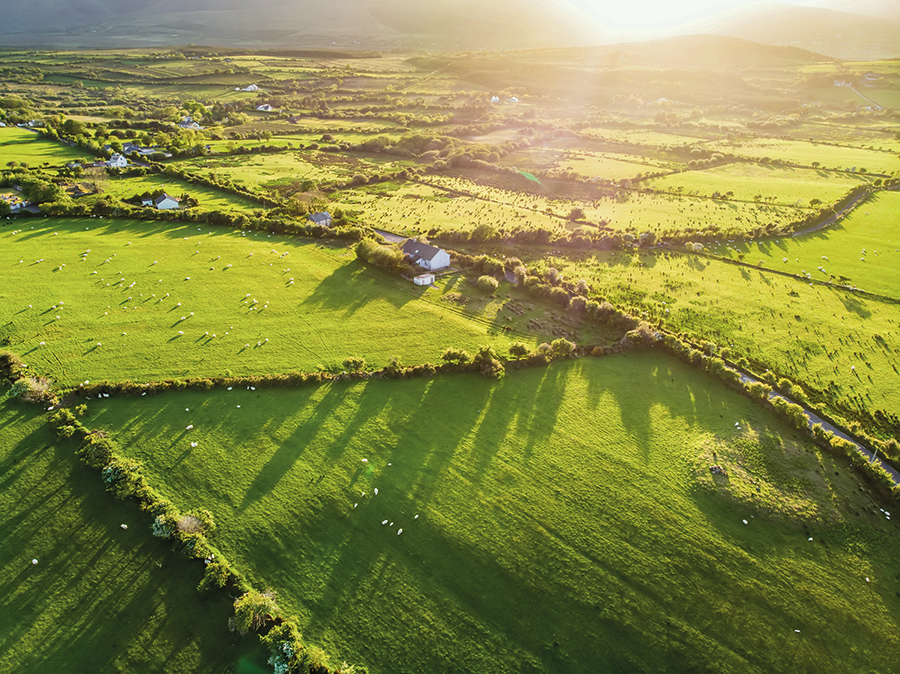 rural farm landscape